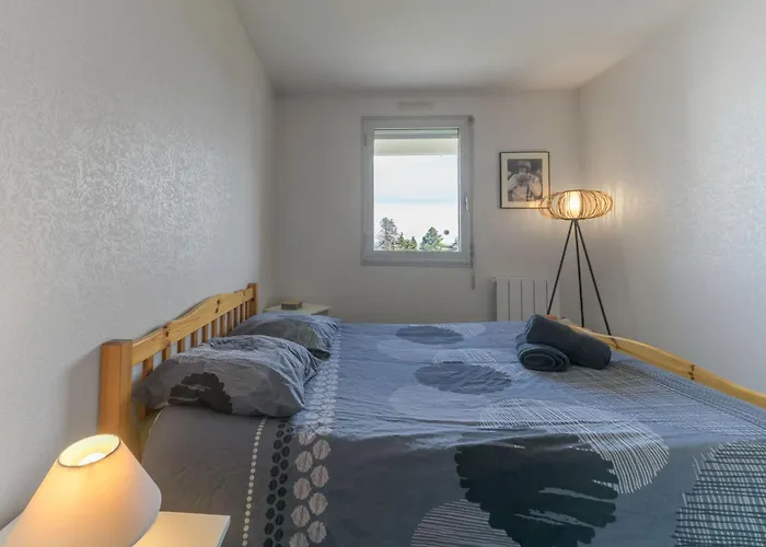 Le Tonic - Calme Et Cosy Apartment Chamalières